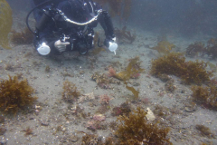 underwater1