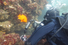 underwater2