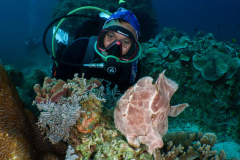 giant_frogfish3
