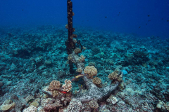 anchor