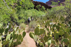 grand_canyon109a