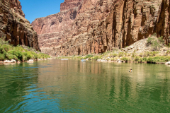 grand_canyon138