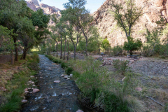 grand_canyon68-Phantom-Ranch-Campground
