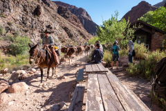 grand_canyon70