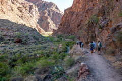 grand_canyon71-Bright-Angel-Creek