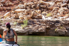grand_canyon9-Bighorn