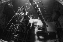 Kittiwake12