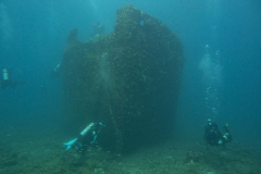 veronica_l_wreck