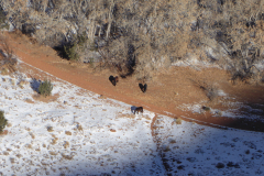 Canyon-de-Chelly15