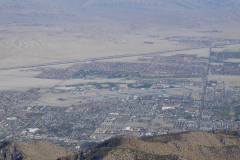 Palm-Springs2