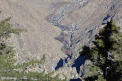 Palm-Springs7