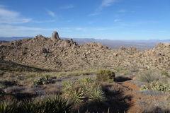 Phoenix-Hike3