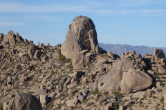 Phoenix-Hike4-Toms-Thumb