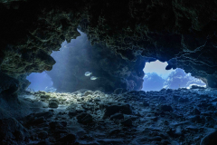 Cavern2-Grand-Cayman