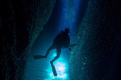diver1