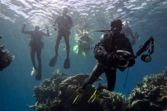 diver3