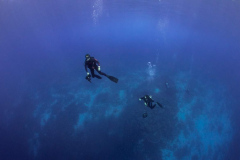 diver4