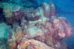 wreck1