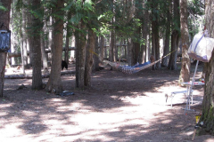 idaho29