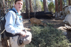 yosemite14