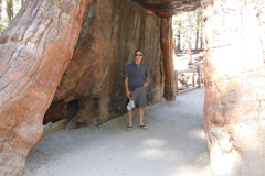 yosemite46