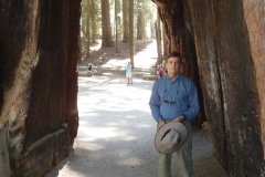 yosemite48